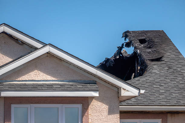 Top rated local Fire Damage Removal specialists in Rogers, TX